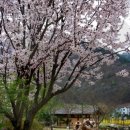 정선아리랑 조형물 이미지