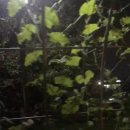 카이스트 세종관 이미지