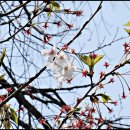 창원대로-1 이미지