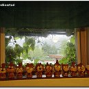 다인수제비 이미지