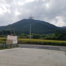알뜰진미음식점 네이버블로그