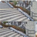 신흥자전거 이미지
