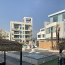 라테라스B 이미지