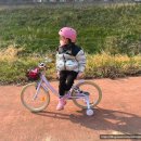 삼천리로 | 삼천리자전거 | 딩고 20인치 바이올렛 내돈내산 솔직 후기 7살 어린이 첫 자전거로 추천