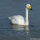 우아한부부 이미지