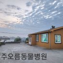 제주오름동물병원 이미지