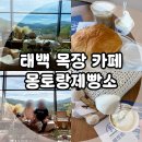 다운목장 | 강원도 태백 카페, 몽토랑 산양목장의 몽토랑 제빵소 솔직 후기!