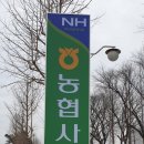 (주)농협사료 전남지사 네이버블로그