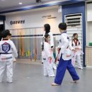 진영라온태권도장 이미지