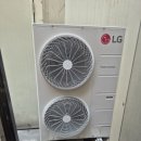 베스띠벨리익산