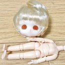 (주)소소팜 이미지