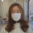 바슬헤어 | 대전 헤어샵추천 바슬헤어 브라운염색+레이어드 젤리펌 후기~