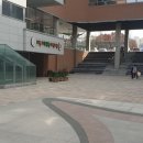 시립비둘기어린이집 | 포켓다이노공연후기,혜화동돈까스극장