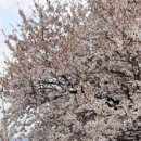 고복수변공원 이미지