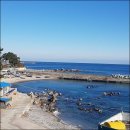 김포민박 이미지