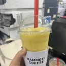 매머드익스프레스 인덕원디지털엠파이어점 이미지