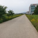 경안천 초부리 이미지