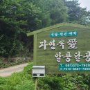 자연속애알콩달콩 이미지