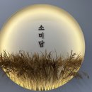 소미담목포