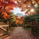 여성크로커다일 앞 보도 | [핫플] 2주 만에 11만 명? 58년 만에 문 연 &#39;서울대 안양수목원&#39; 가보니