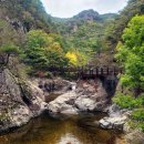 제178차 정기산행 청송 주왕산 국립공원 (절골) 이미지