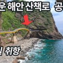 우리나라 최고의 비경 산책로 공개/7월8일 취항/세계에서 가장 빠른 초호화 여객선 여행/엘도라도 익스프레스/포항-울릉도/울릉도여행 이미지