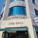 크라운샤이니스