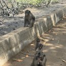 호텔 라벨라 | 호치민 라벨라사이공 수영장, 라벨라사이공 호텔 조식 뷔페 후기