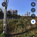 피자스토어헤이리마을점 | 서울 근교 1박2일여행으로 가기 좋은 파주 헤이리마을 여행지 코스 추천