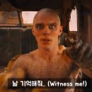 불루머니