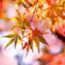 서울헌터즈