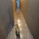 도래미마을 입구 | [강화참숯마을] 강화도 서울 근교 실내 놀거리 찜질방 준비물 바베큐 삼겹살 갈만한곳 찜질방