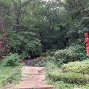 신성중고등학교 이미지