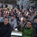 소금나무
