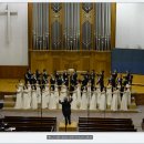 대구시립소년소녀합창단 제 123회정기공연 Daum카페