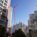 파주와동초등학교 네이버블로그
