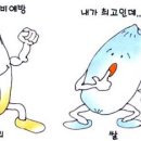 보리밥쌀밥