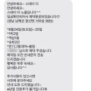 스테이더노을 이미지