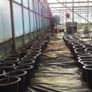 정환2농장 이미지