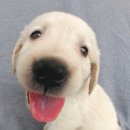 현대종합카센터 이미지