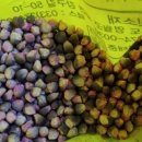 물미 농장 이미지