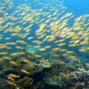 신승여행사 이미지