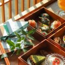 조은애견 이미지