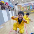 이지차일드유치원 | (옥암동태권도장)(목포영산초/애향초/옥암초태권도장)(옥암동유치부전용태권도장)(❤️명품남해태권도장...