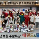 용인대비호태권도장 이미지