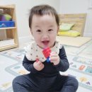 라이트픽처스 코리아