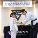 용인대 태성태권도장 이미지