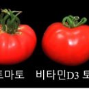 지플러스 이미지