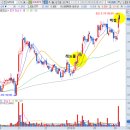 서유5호 이미지