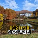 그늘막81 | 용인 외대 단풍 주차 무료 꿀팁 | 명수당·용인 외대 맛집 솔직후기